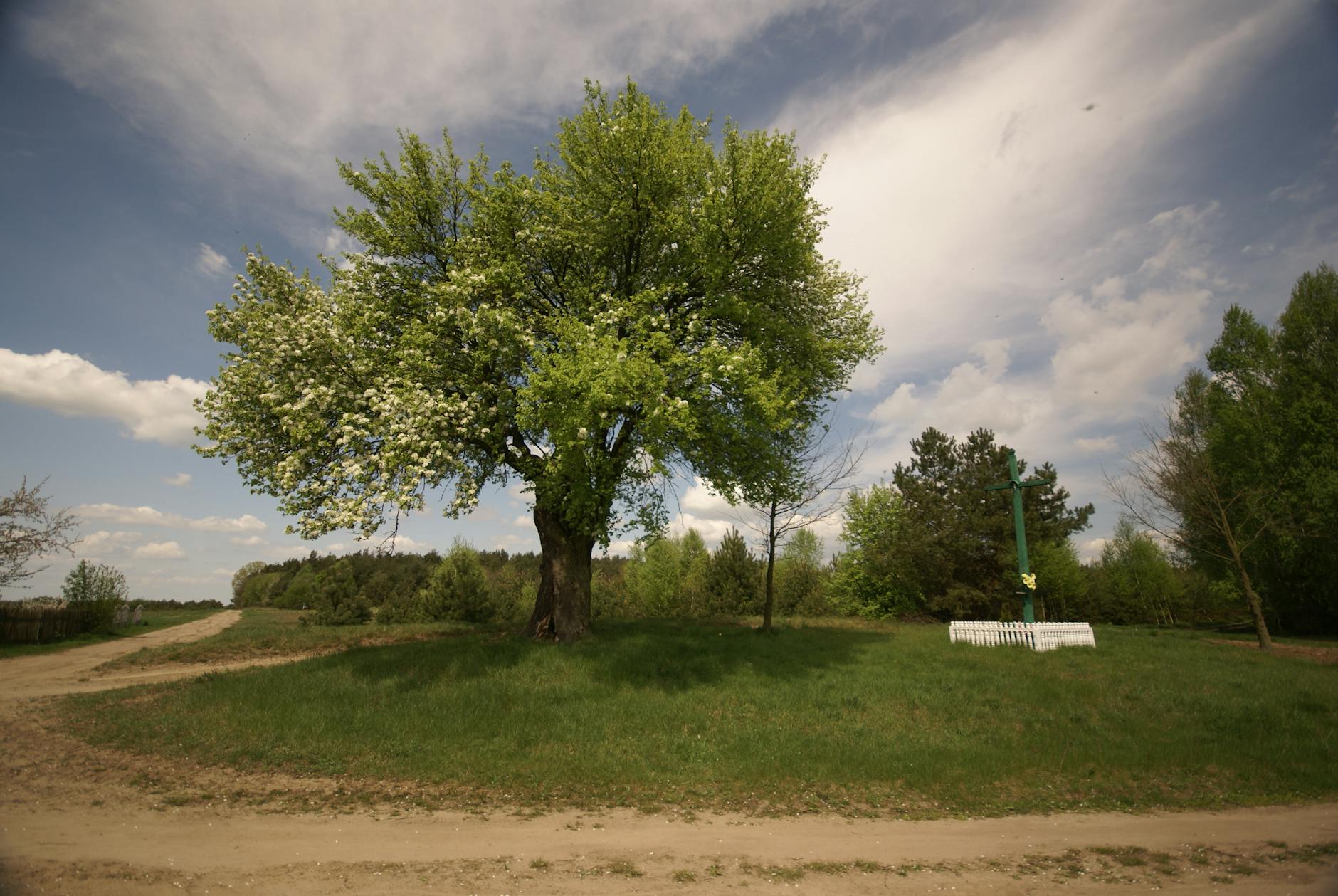 Widok na Zamek Krzyżacki w Działdowie podczas słonecznego dnia, symbolizujący majówkowe świętowanie.